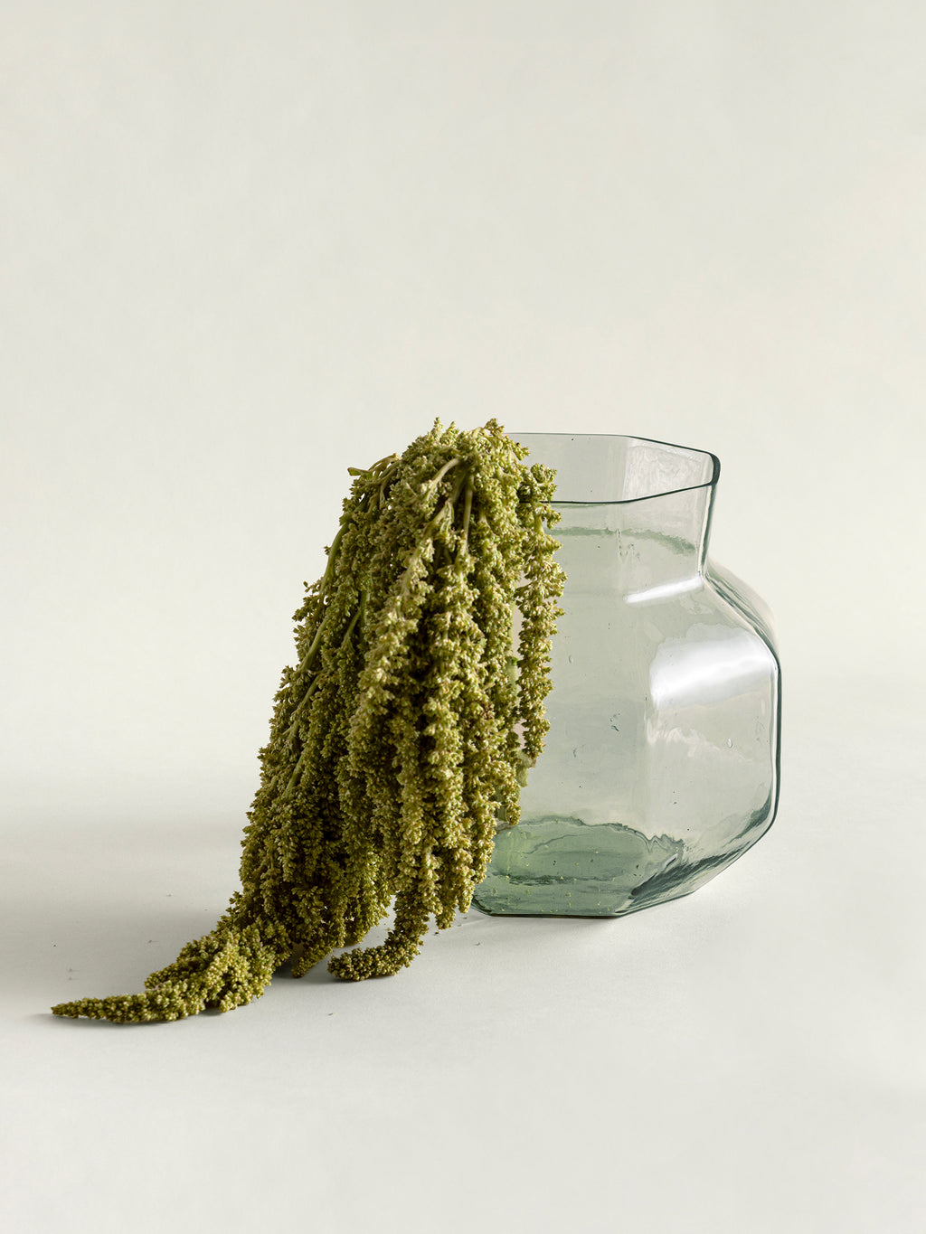 A clear glass vase with a rounded, octagonal shape and a long, cascading stem of dried olive-green foliage draped over it, set against a plain off-white background.