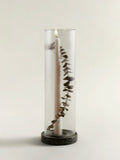 A tall ribbed clear candle lantern with a lit taper candle inside and dried eucalyptus stems arranged vertically, set on a rainforest green marble base against a plain light background.